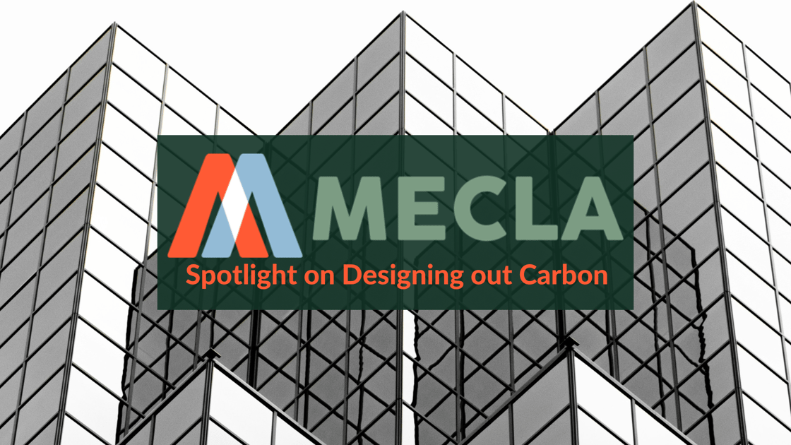 Spotlight on Embodied Carbon and the Finance Sector