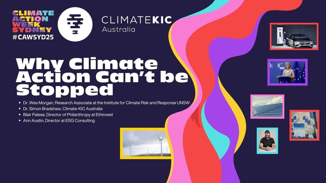 Why Climate Action Cant Be Stopped