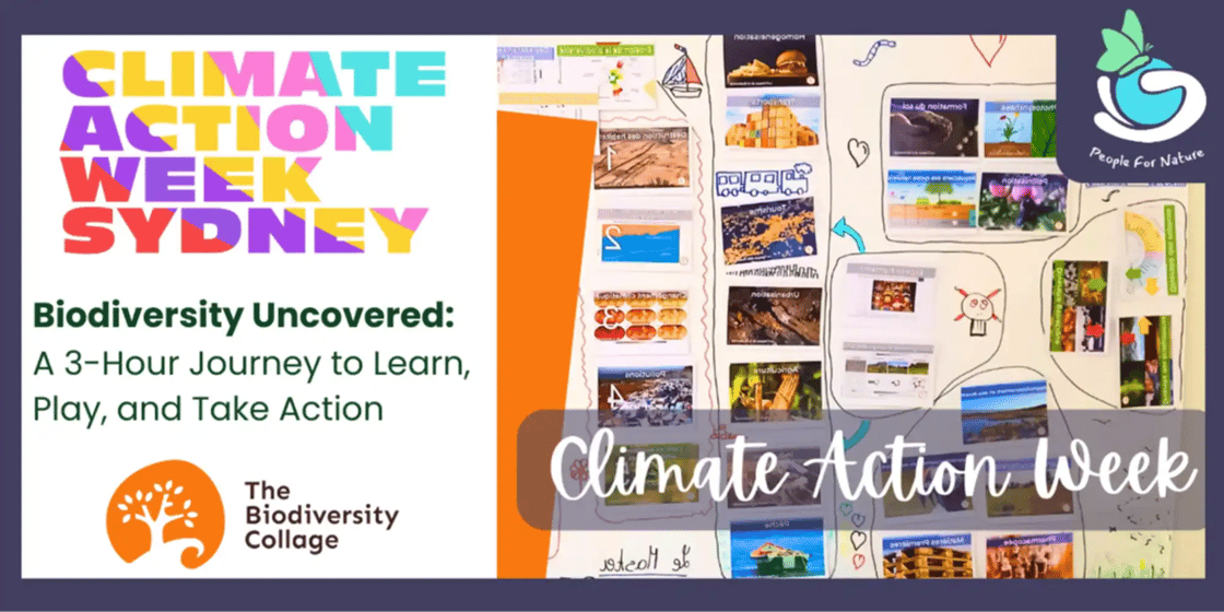 Workshop promo banner